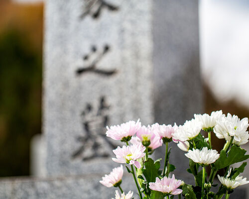 3月3日